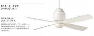 WS000262