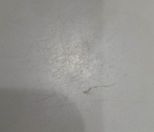WS000645