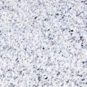 WS000647