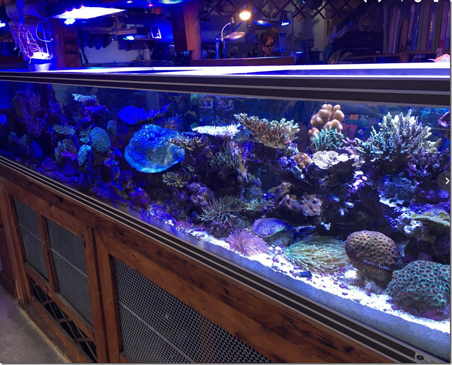 image 土浦コーラルタウン店内180cm水槽