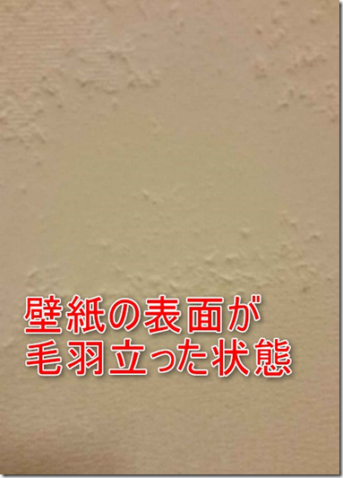 image サンゲツEBクロスの不具合:表面の毛羽立ち